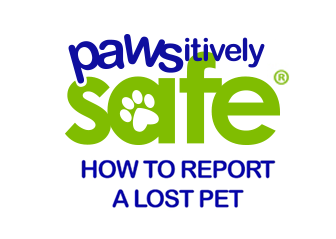 What to do When Your Pet is Lost